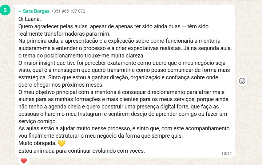Print de Sara Borges sobre posicionamento, organização e confiança no rumo do negócio.